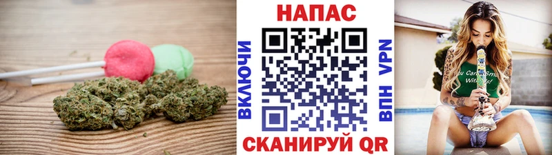 Cannafood марихуана  блэк спрут как зайти  Холм 