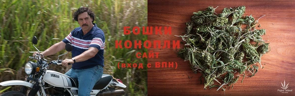 PSILOCYBIN Михайловка