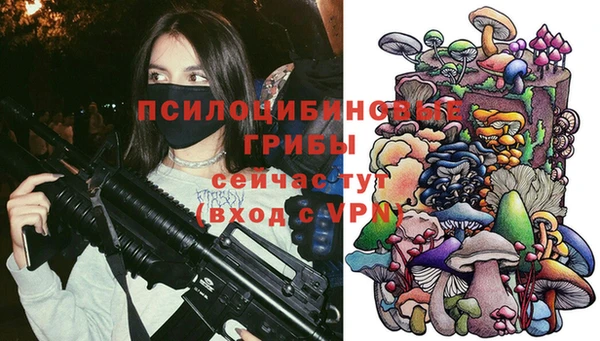 PSILOCYBIN Михайловка