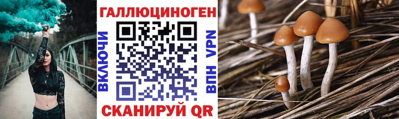 наркотики  Холм  Галлюциногенные грибы ЛСД 